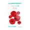 12 Packs: 6 ct. (72 total) Red Paper Pom Poms by Celebrate It™